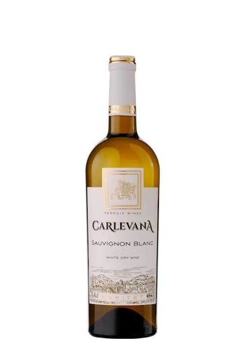 Вино «Sauvignon Blanc» 2024 Raritet, Carlevana. 0,75